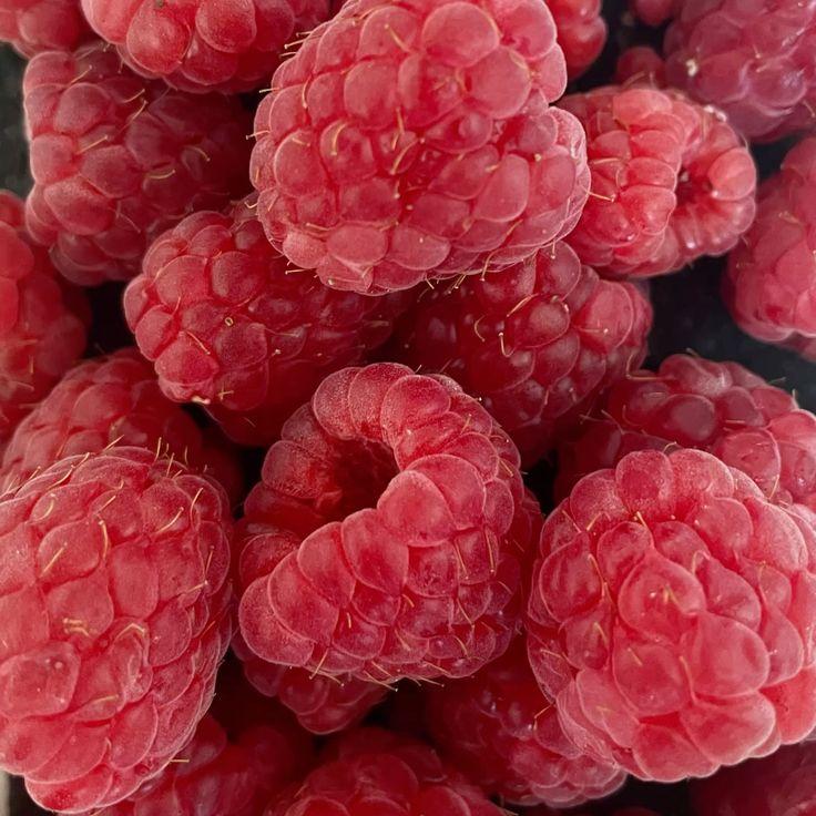 Country Garden Harvest: Succulent Berry Medley