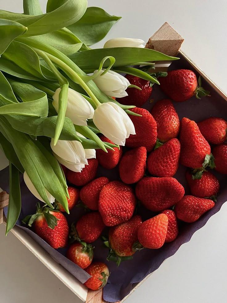 Nature's Palette: Diverse Berries of the Countryside